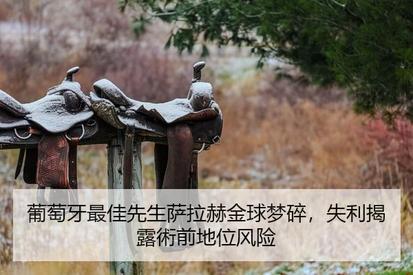 葡萄牙最佳先生萨拉赫金球梦碎，失利揭露術前地位风险