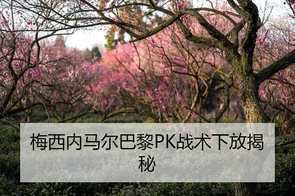 梅西内马尔巴黎PK战术下放揭秘（jiuyou）